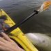 Man sings in his kayak, then an animal pops up below him and sings with him