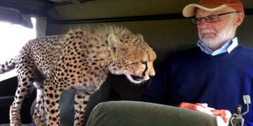 10 Bizarre photos of animals being tired of tourists