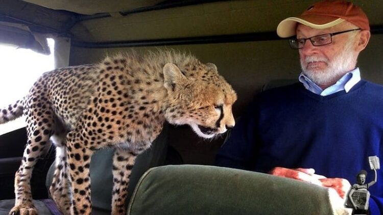 10 Bizarre photos of animals being tired of tourists