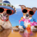 What to know when taking your pet on holiday