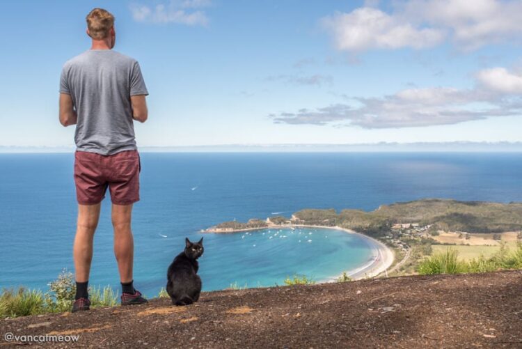 How one man travels Australia with his cat