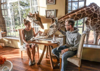 Bucket list: have breakfast with giraffes at Giraffe Manor