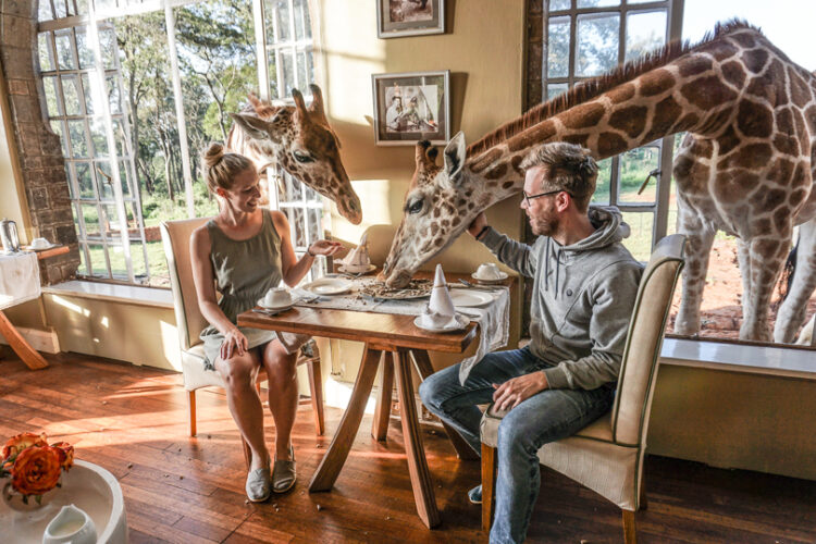 Bucket list: have breakfast with giraffes at Giraffe Manor