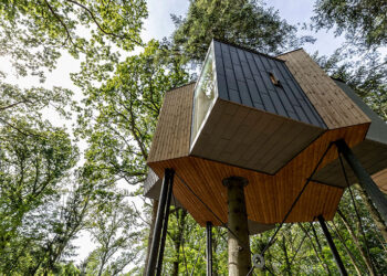 Bucket list: ultimate tree house hotel in Denmark