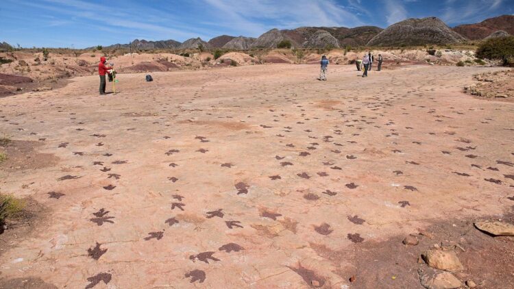 The real life Jurassic Park