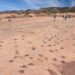 The real life Jurassic Park