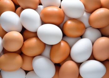 Why are white eggs less expensive than brown eggs?
