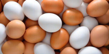 Why are white eggs less expensive than brown eggs?