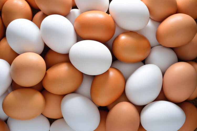 Why are white eggs less expensive than brown eggs?