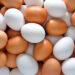 Why are white eggs less expensive than brown eggs?