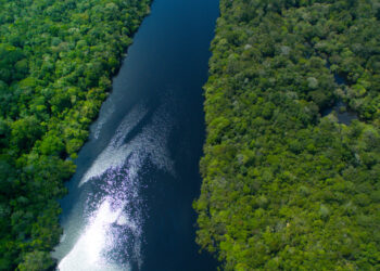 The Story Behind the Resourceful Ancient People Who Flourished in the Amazon