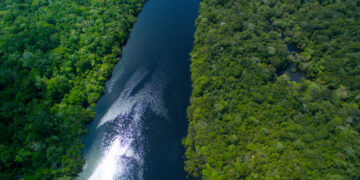 The Story Behind the Resourceful Ancient People Who Flourished in the Amazon