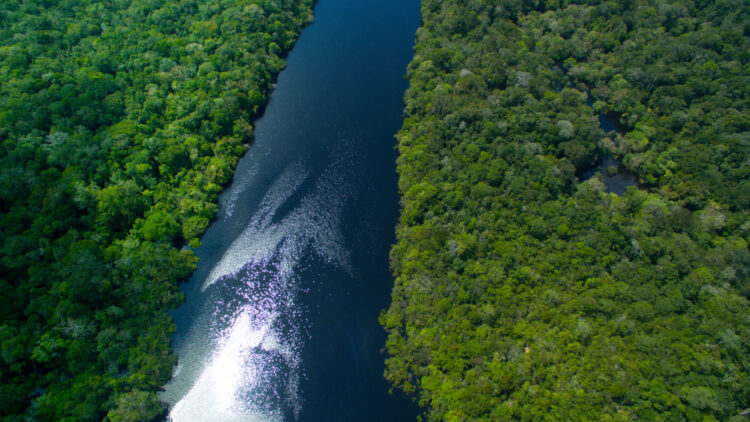 The Story Behind the Resourceful Ancient People Who Flourished in the Amazon