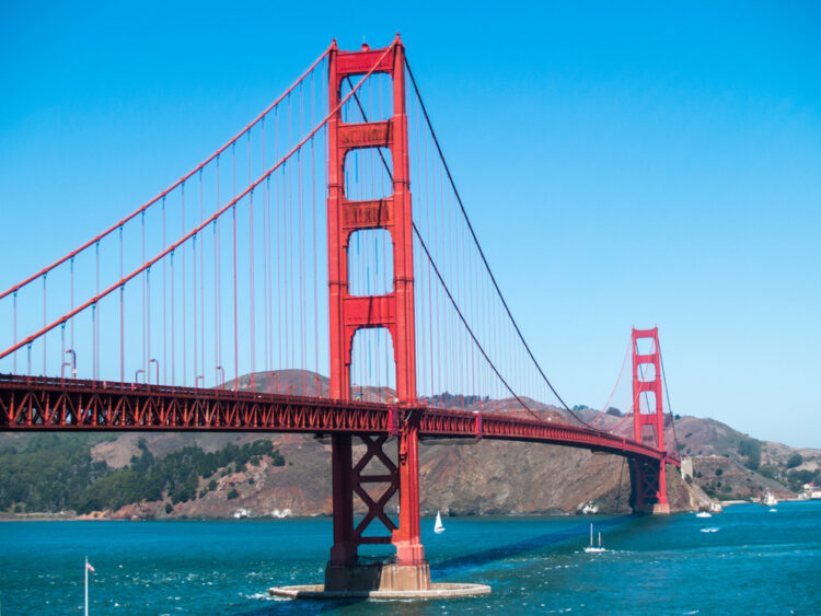 The World Famous San Francisco’s Bushman