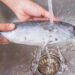 Cleaning and scaling a fish efficiently and quickly