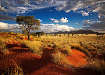 Why you should visit Namibia