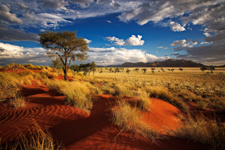 Why you should visit Namibia