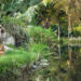 The top three botanical gardens in the world