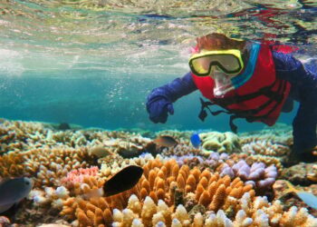 A new hope for coral reefs