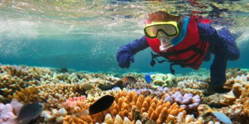 A new hope for coral reefs