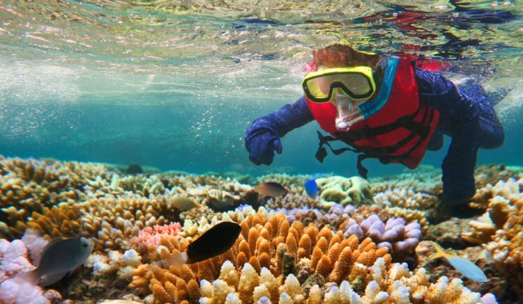 A new hope for coral reefs