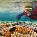 A new hope for coral reefs