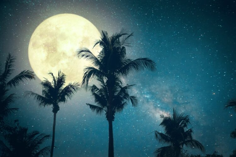 Niue, the darkest skies in the world