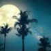 Niue, the darkest skies in the world