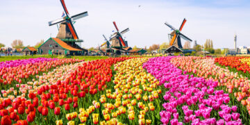Why should go to the Netherlands