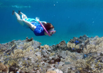 We have found one reason not to go to Fiji