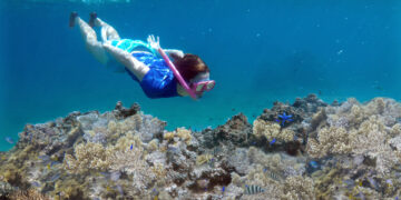 We have found one reason not to go to Fiji