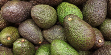 Trick to keep avocados fresh for 6 months