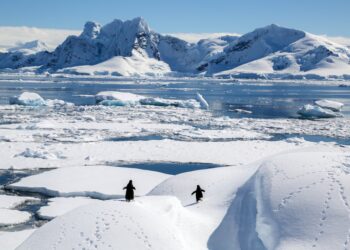 Myths about the Antarctic