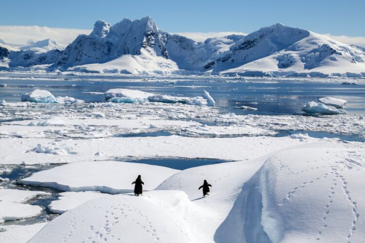 Myths about the Antarctic