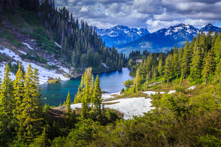 The incredible immersive virtual tours that everyone needs right now