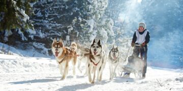7 Reasons why you should visit Lapland in 2019!
