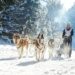 7 Reasons why you should visit Lapland in 2019!